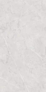 MK234291 - map sản phẩm 1